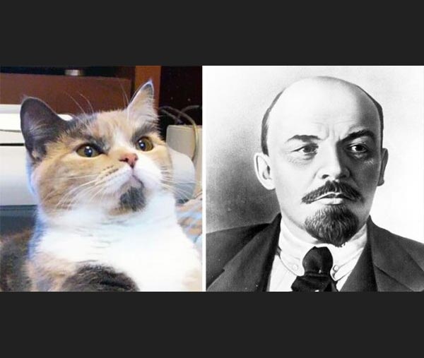 Коты и их двойники. Кот двойник Ленина