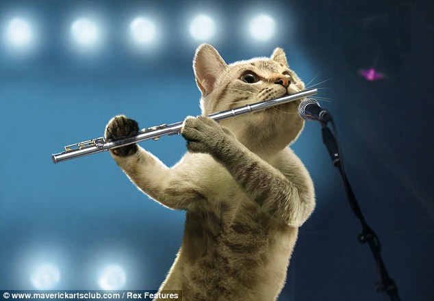Кошка музыкант играет на флейте