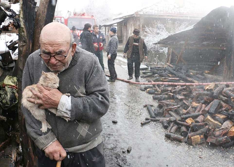 До слез! Старик обнимает выжившего котенка, все, что у него осталось после пожара