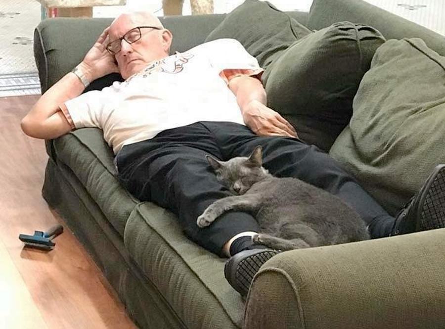 Вот уже полгода мужчина приходит в приют, чтобы поспать в обнимку с кошками