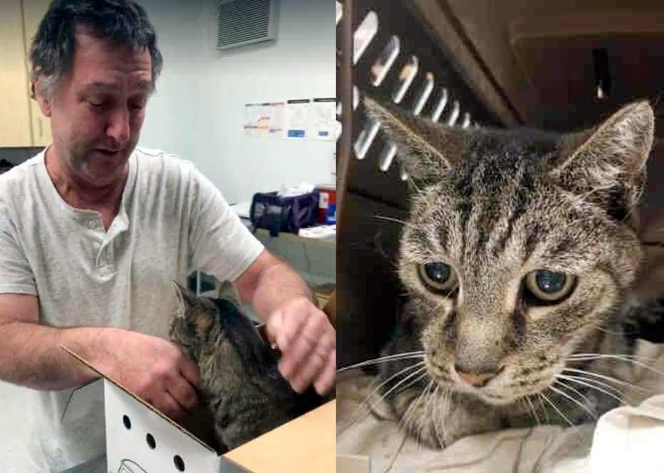 19-летний кот обнимал лапами хозяина, которого не видел 7 лет, а мужчина не мог сдержать слезы