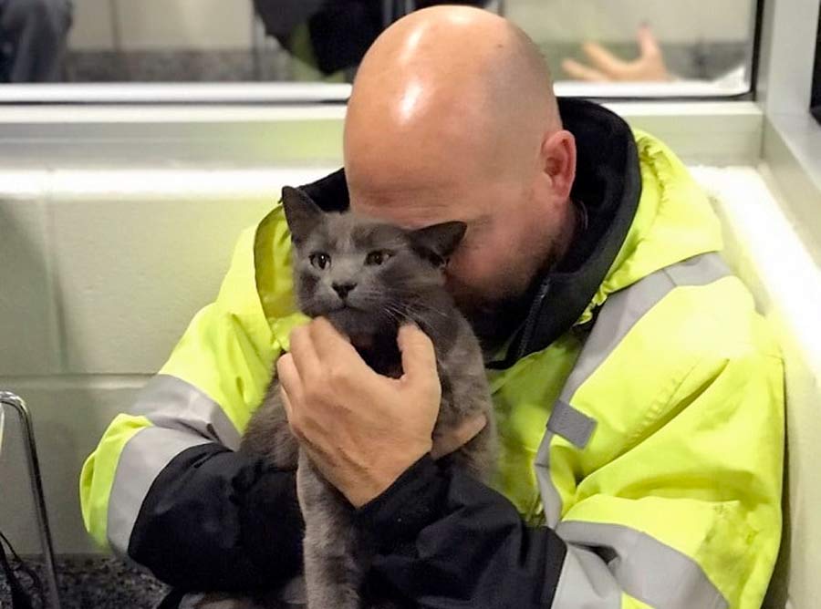 Обняв найденного кота, мужчина заплакал, как ребенок. Он уже и не верил, что когда-нибудь вновь увидит питомца