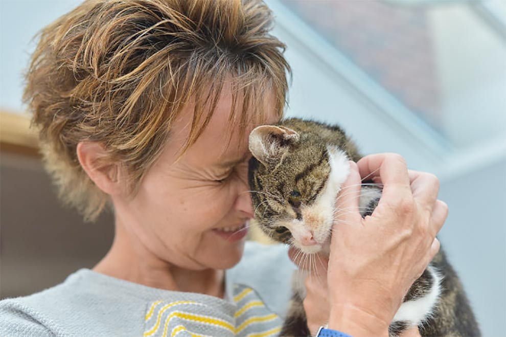 История растрогала пользователей сети: кошка вернулась домой после 13 лет скитаний
