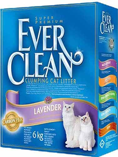 Ever Clean Lavander наполнитель с ароматом Лаванды фото