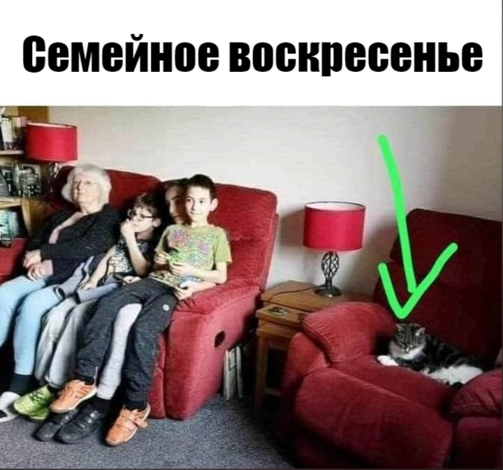 Мемы про котов Семейное воскресенье фото