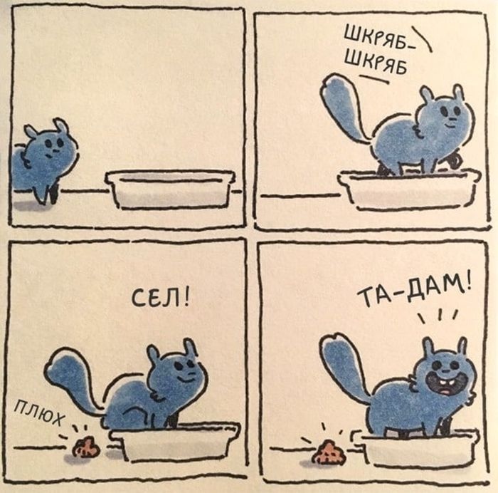 Мемы про котов Пусик Мимосралович фото
