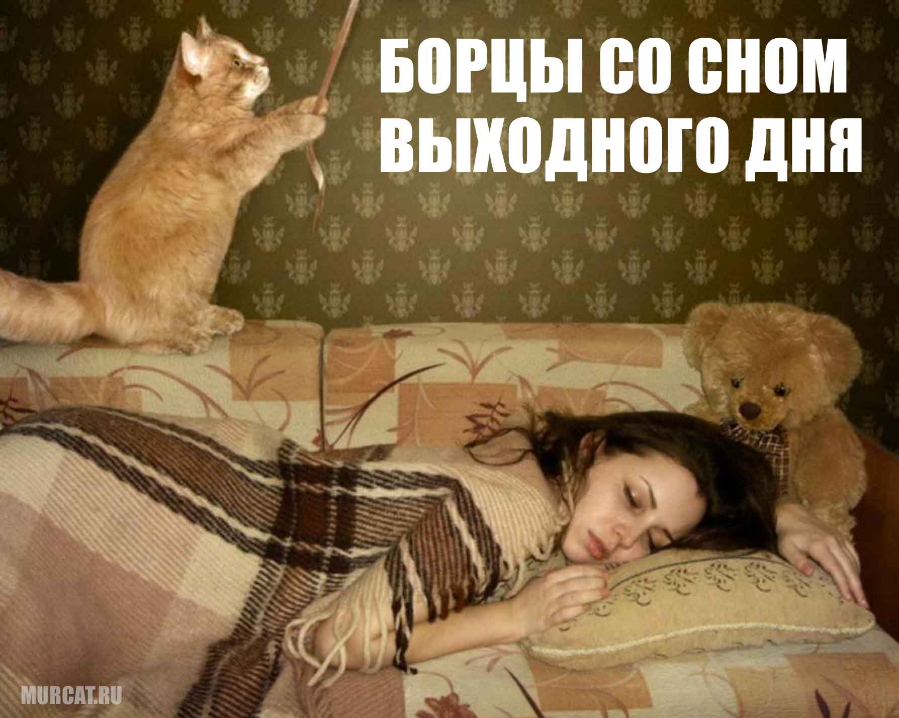 Мемы про котов Борцы со сном выходного дня :( фото