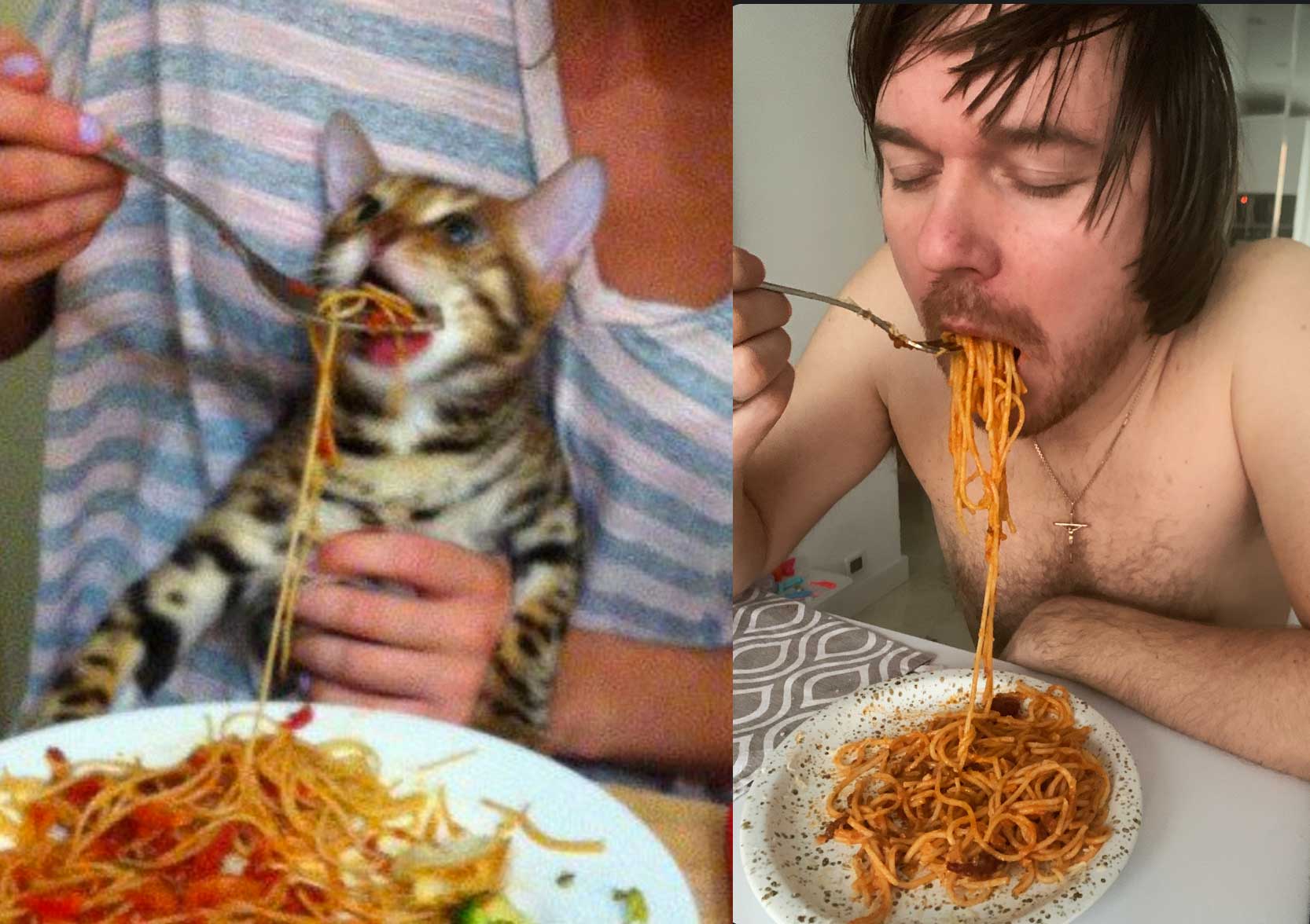 Мемы про котов Кот ест макароны фото