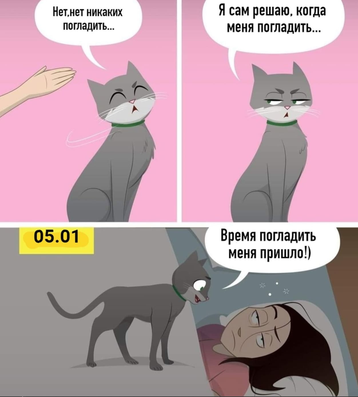 Мемы про котов Время погладить меня пришло! фото