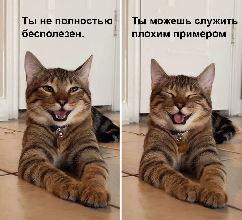Мемы про котов Ты не полностью бесполезен фото