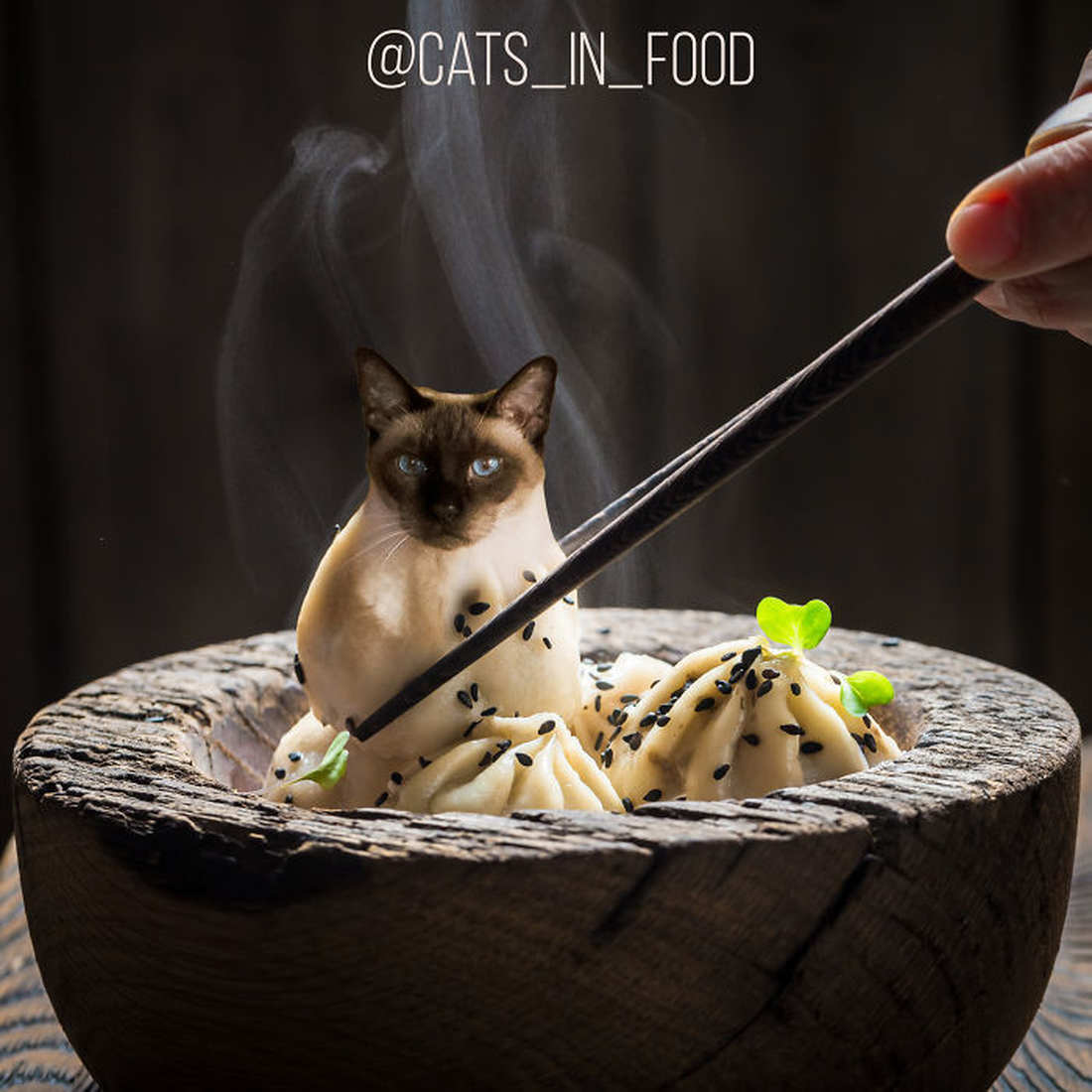 художница соединяет в фотошопе еду и котов