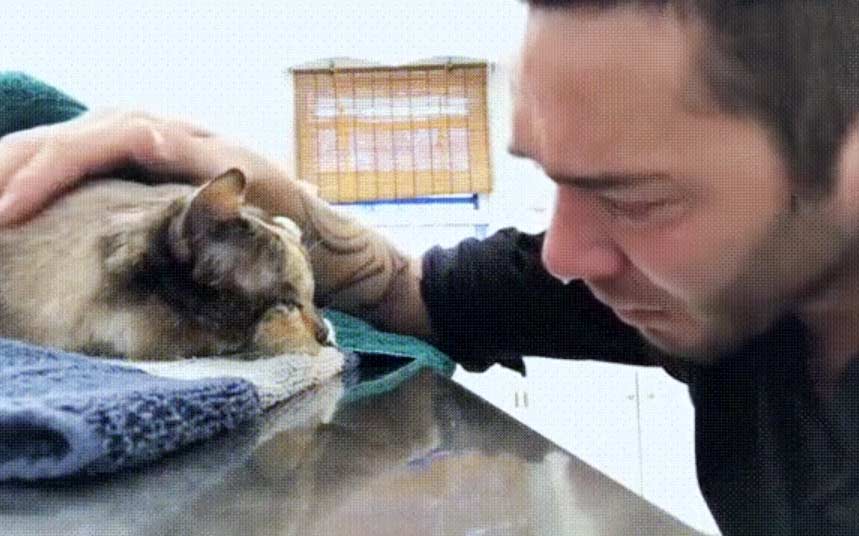 Очень трогательное видео, мужчина прощается со своей умирающей кошкой