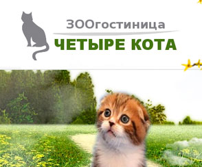 питомник кошек москва Четыре Кота гостиница для кошек в Москве фото