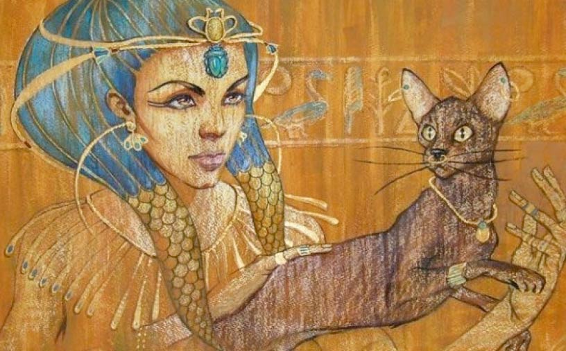 вопросы про кошек Что делали египтяне когда умирала их любимая кошка? фото