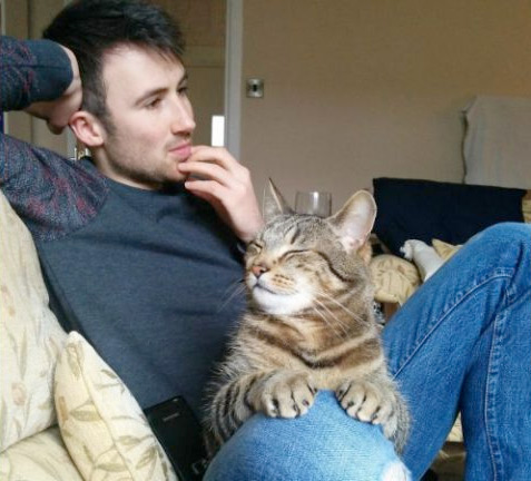 вопросы про кошек Кошка ревнует меня к моему парню фото