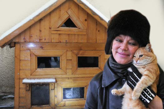 В Москве бездомным кошкам нашли жилье