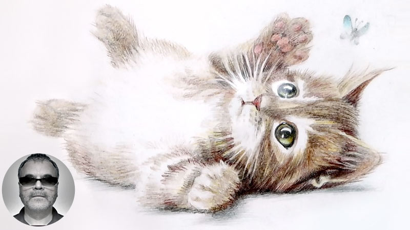 Видео: как нарисовать кошку карандашом
