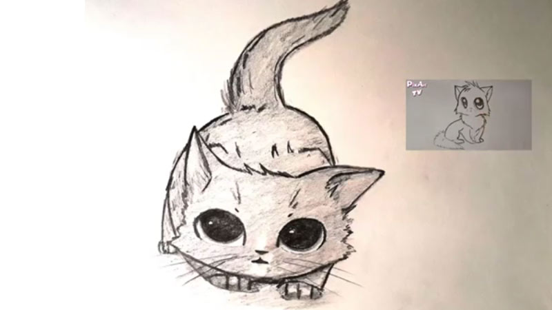 Видео: как нарисовать маленького котенка аниме