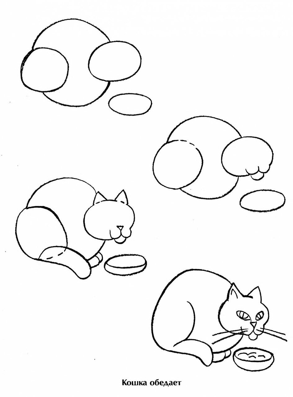 Рисуем поэтапно карандашом кошка, которая обедает
