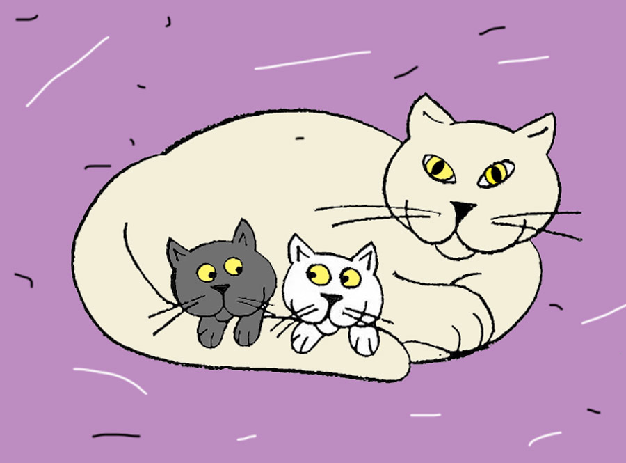 Кошка-любимица котят рисунок карндашом поэтапно