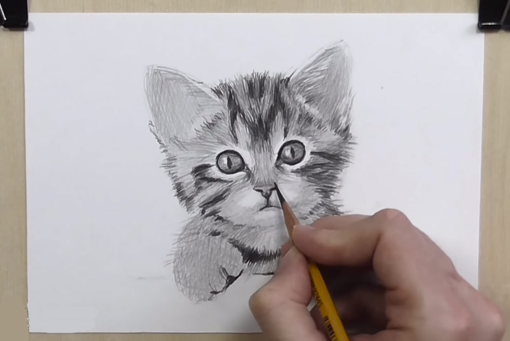 Как нарисовать кота карандашом - подробный обучающий видеоурок