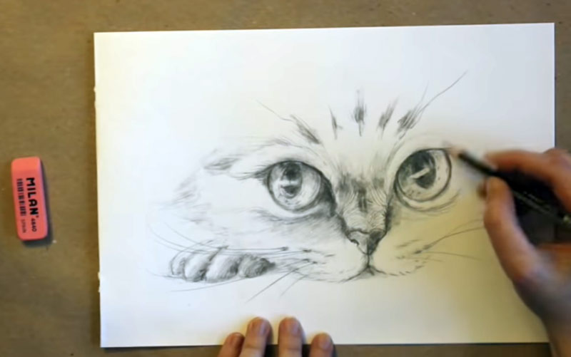 Рисуем кота карандашом - подробный обучающий видеоурок