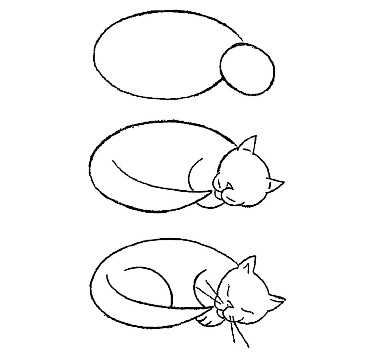 как нарисовать лежащего спящего кота фото