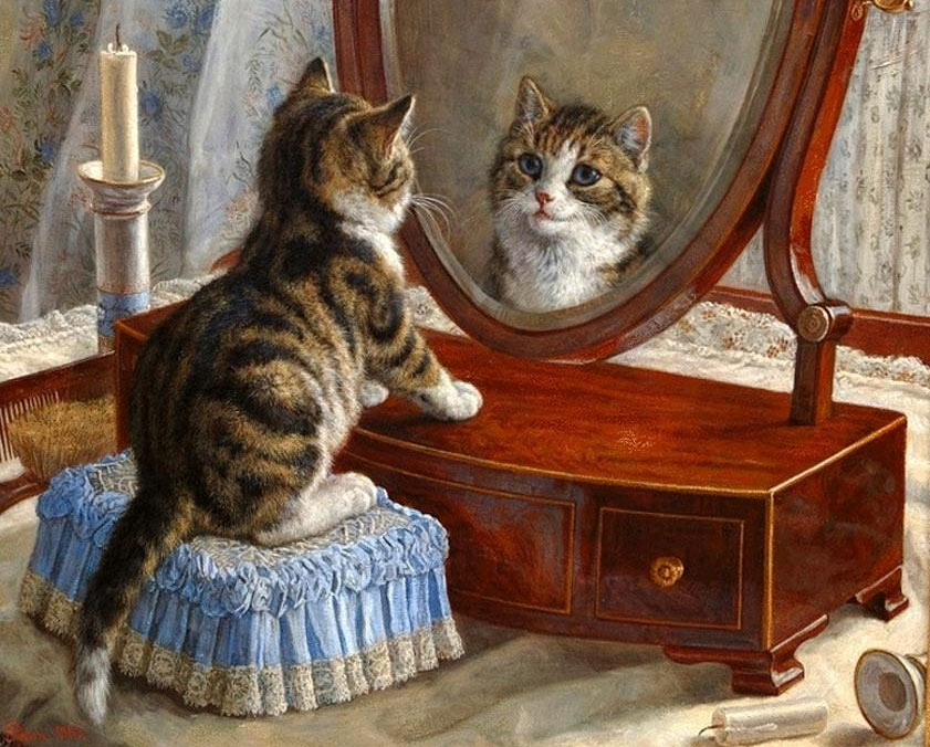 Стих про кошку Кот и зеркало фото