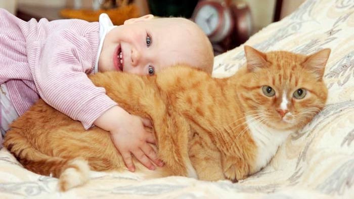 вопросы про кошек Котик укладывает малыша спать фото