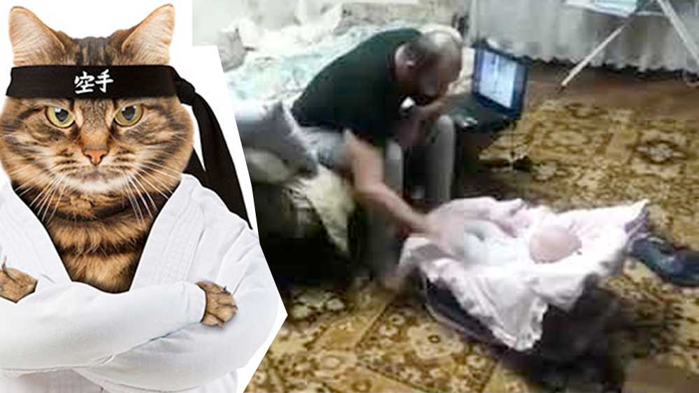 Отец ругал малыша когда внезапно появился кот фото