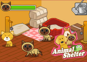Приют для животных (Animal Shelter)