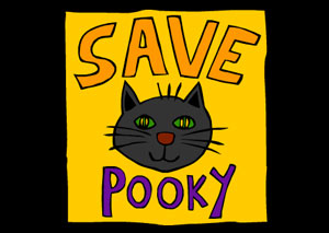 Спасти котенка Pooky