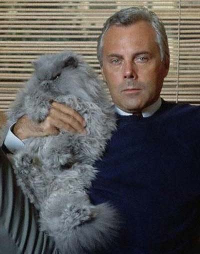 Джорджио Армани с кошкой