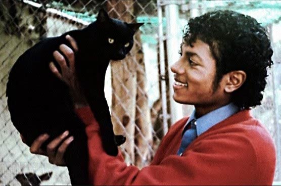 Майкл Джексон с кошкой