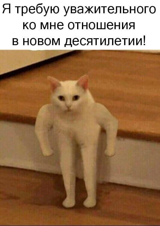 Мемы про котов Требую! фото