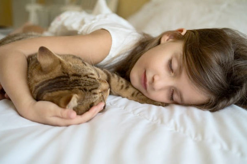 Ученые объяснили, почему полезно брать кота или кошку  в постель