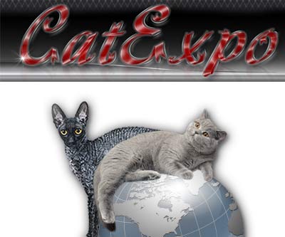 питомник кошек москва Клуб CatExpo фото