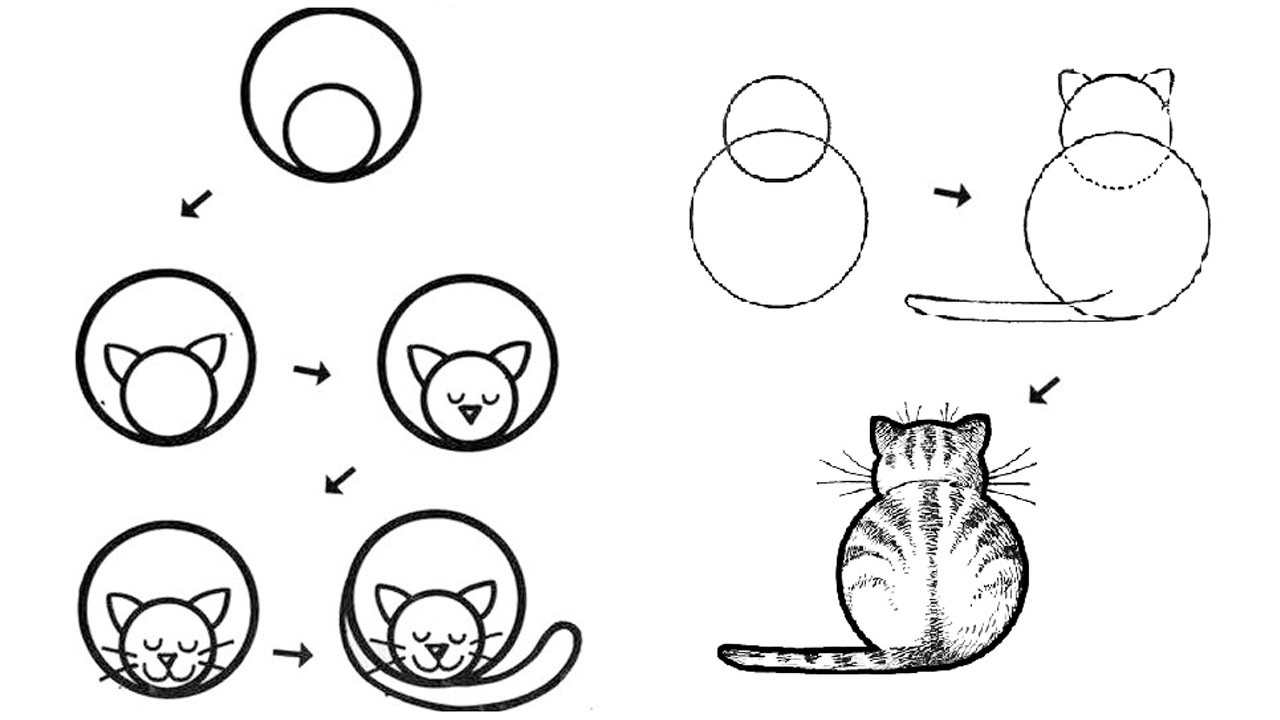 Пошаговая инструкция по рисованию кошки кругами