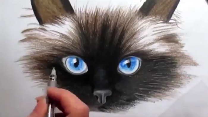 Видео: рисуем кошку поэтапно