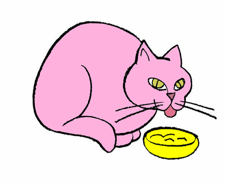Рисуем поэтапно карандашом кошка, которая обедает