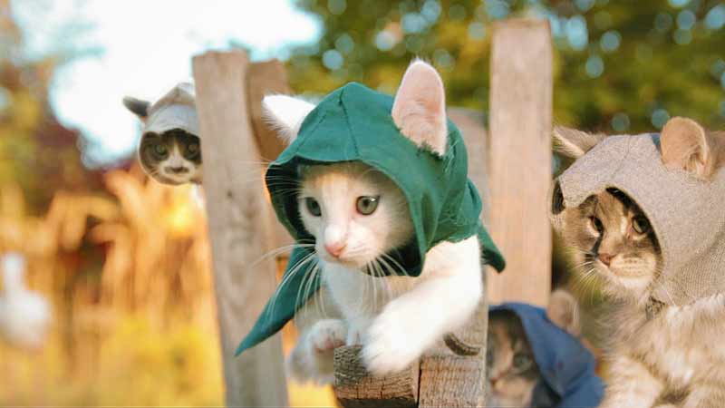 Мультик про кошку Котята-ассасины спешат на помощь