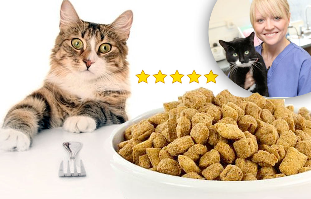 Какой корм выбрать для кошки? Советы ветеринаров